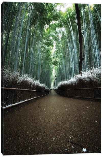 Winter In Japan V Canvas Art Print - Arashiyama Bamboo Forest