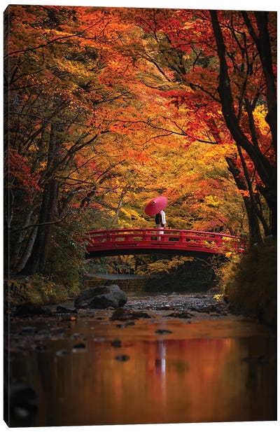 Autumn In Japan XXXI Canvas Art Print - Japan Art