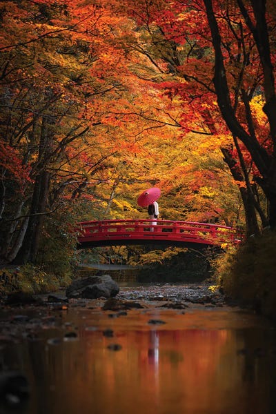 Daisuke Uematsu: Autumn In Japan XXXI by Daisuke Uematsu