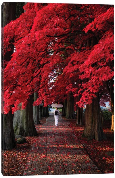 Autumn In Japan XXXIII Canvas Art Print - Daisuke Uematsu 