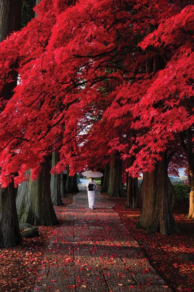Daisuke Uematsu: Autumn In Japan XXXIII by Daisuke Uematsu