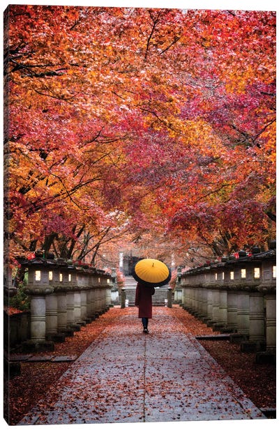 Autumn In Japan XIII Canvas Art Print - Art by Asian Artists