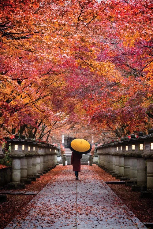 Autumn In Japan XIII