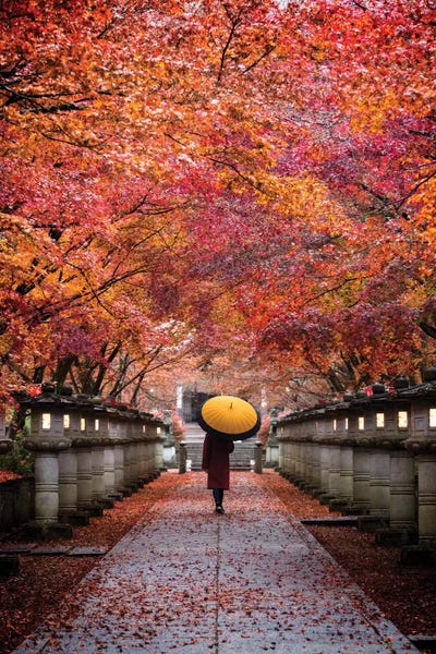 City Parks: Autumn In Japan XIII by Daisuke Uematsu