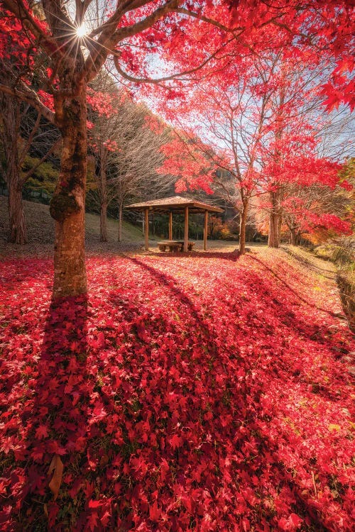 Autumn In Japan XXXIV