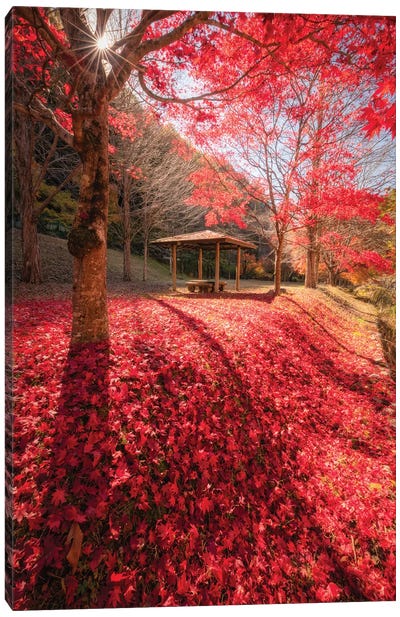 Autumn In Japan XXXIV Canvas Art Print - Daisuke Uematsu 
