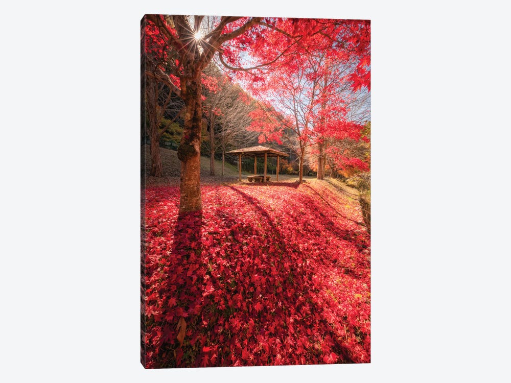 Autumn In Japan XXXIV by Daisuke Uematsu 1-piece Canvas Artwork