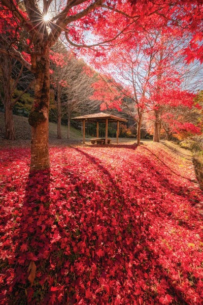 Daisuke Uematsu: Autumn In Japan XXXIV by Daisuke Uematsu