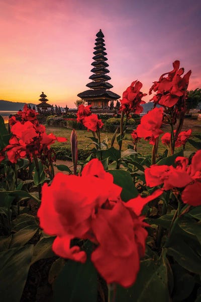 Bali V by Daisuke Uematsu art print