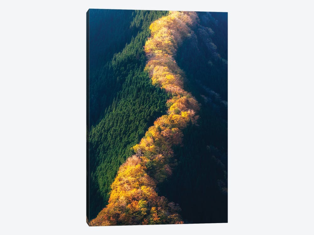 Autumn In Japan XIV by Daisuke Uematsu 1-piece Canvas Art