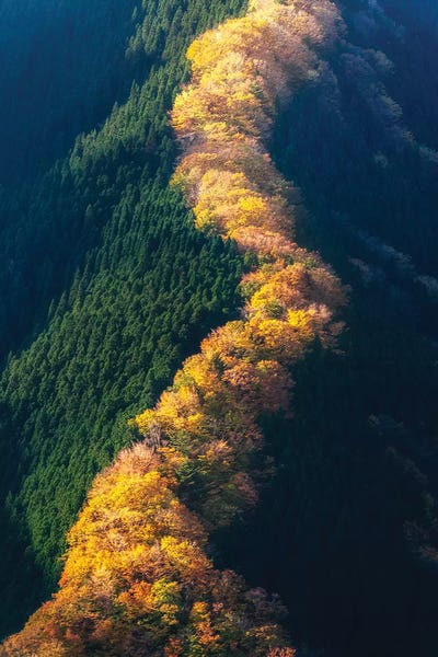 Daisuke Uematsu: Autumn In Japan XIV by Daisuke Uematsu