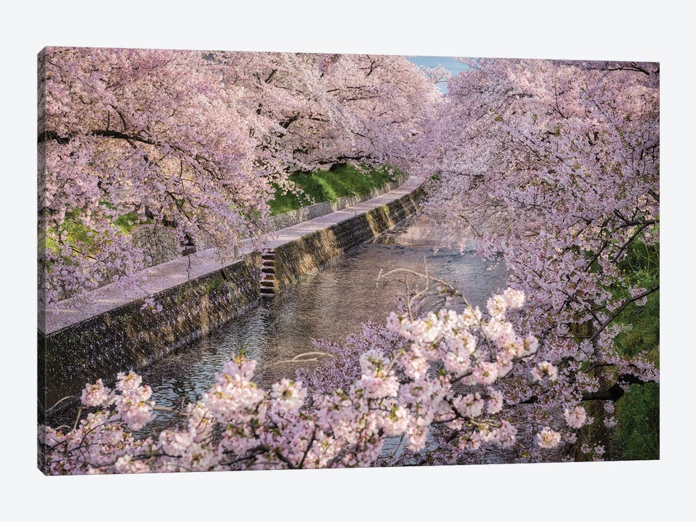 Spring In Japan XXXI by Daisuke Uematsu 1-piece Canvas Print