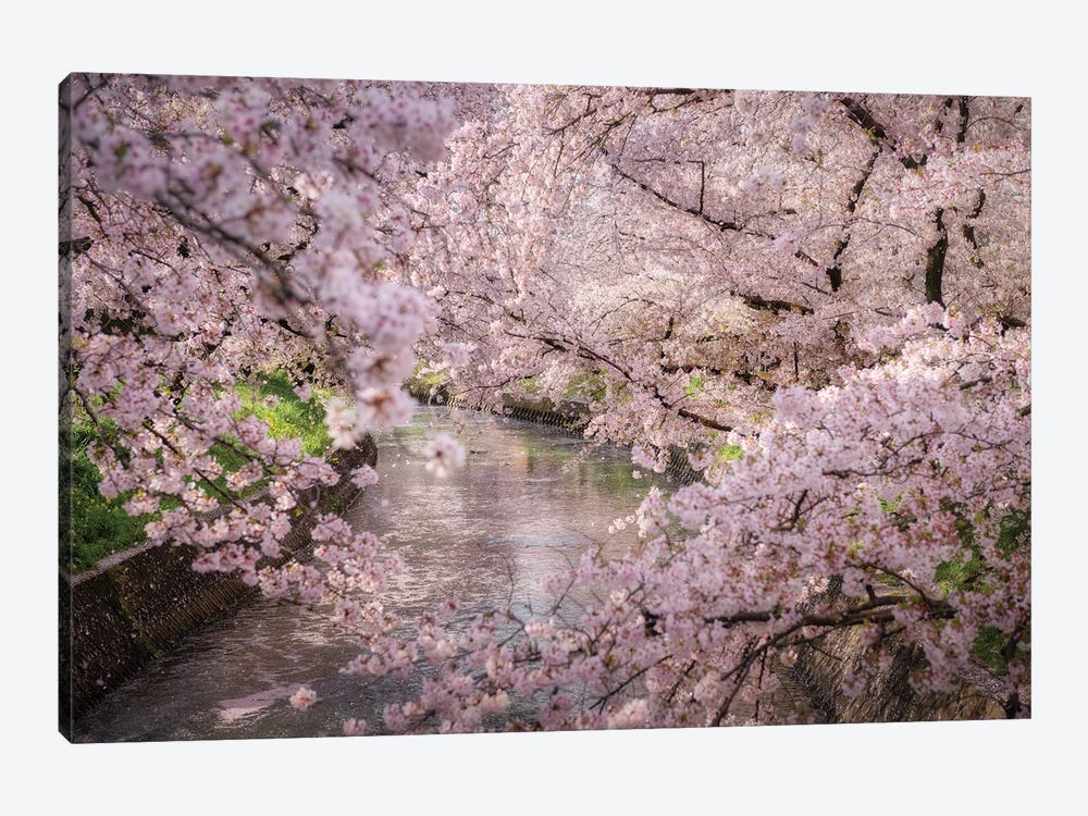 Spring In Japan XXXII by Daisuke Uematsu 1-piece Canvas Artwork