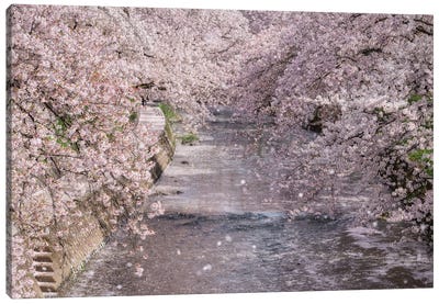Spring In Japan XXXIII Canvas Art Print - Daisuke Uematsu 