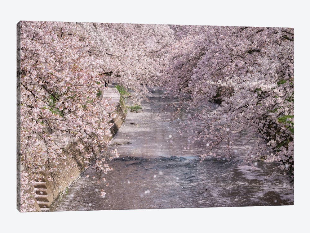 Spring In Japan XXXIII by Daisuke Uematsu 1-piece Canvas Art Print