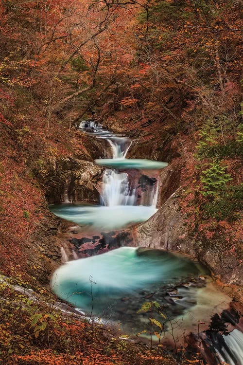 Autumn In Japan XV