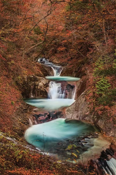 Daisuke Uematsu: Autumn In Japan XV by Daisuke Uematsu