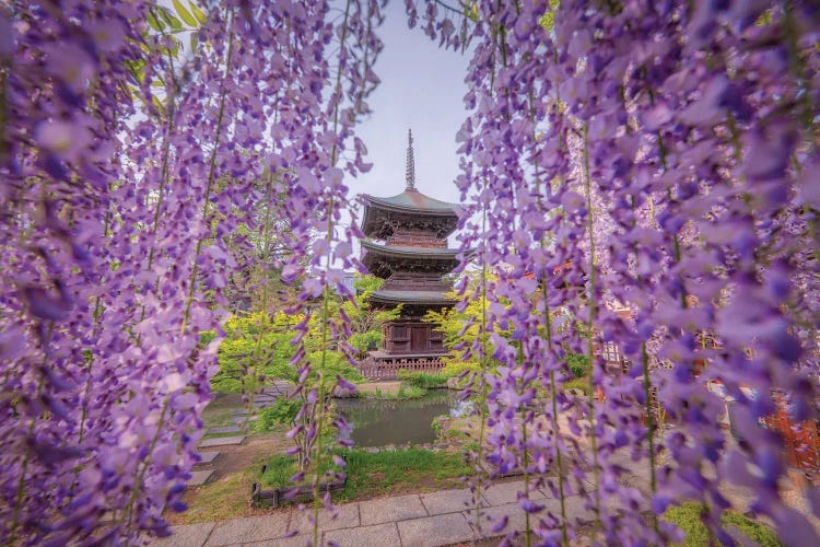 Spring In Japan XXXVII by Daisuke Uematsu wall art