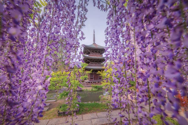 Daisuke Uematsu: Spring In Japan XXXVII by Daisuke Uematsu