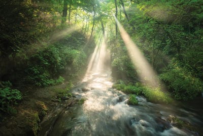 Summer In Japan XXIV by Daisuke Uematsu art print