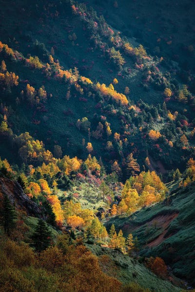 Daisuke Uematsu: Autumn In Japan XXXVI by Daisuke Uematsu