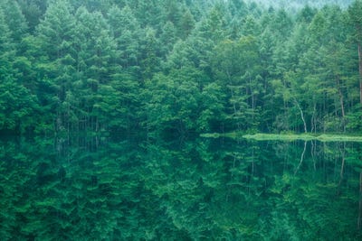 Summer In Japan XXV by Daisuke Uematsu canvas print