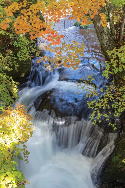 Autumn In Japan XVII