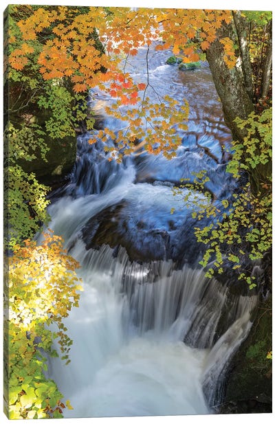 Autumn In Japan XVII Canvas Art Print - Waterfall Art