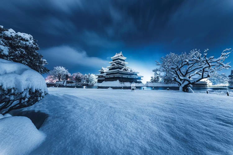 Matsumoto Castle V