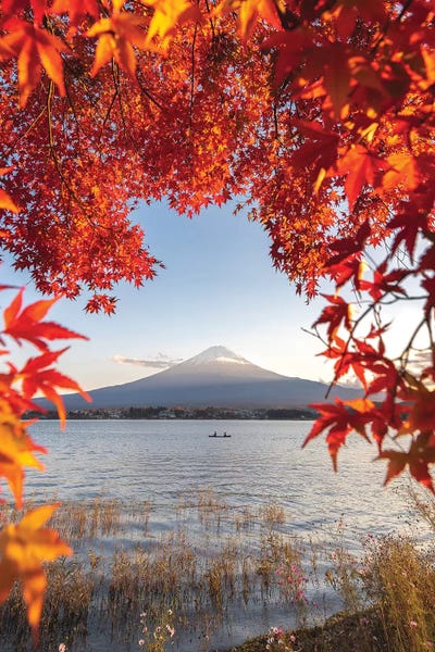 Daisuke Uematsu: Autumn In Japan II by Daisuke Uematsu