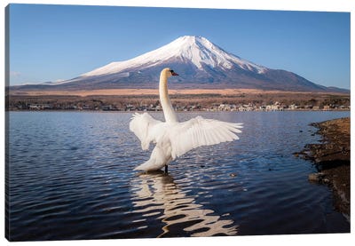 Mount Fuji I Canvas Art Print - Daisuke Uematsu 