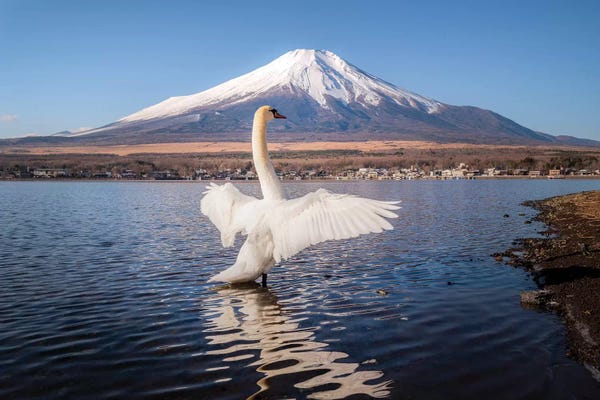 Daisuke Uematsu: Mount Fuji I by Daisuke Uematsu
