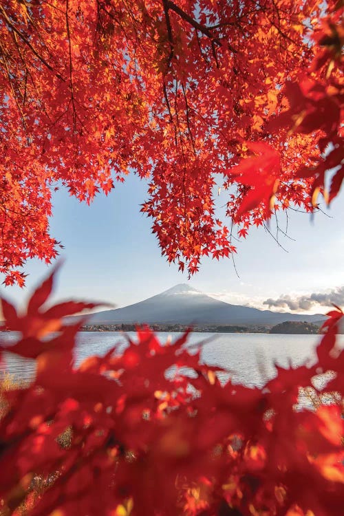 Autumn In Japan III