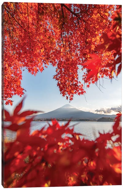 Autumn In Japan III Canvas Art Print - Volcano Art