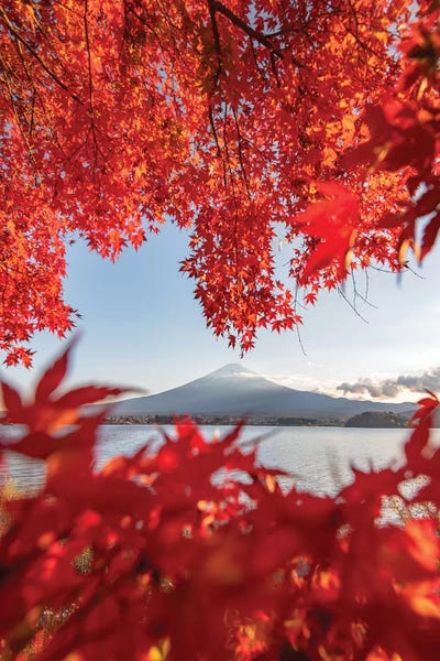 Volcanoes: Autumn In Japan III by Daisuke Uematsu