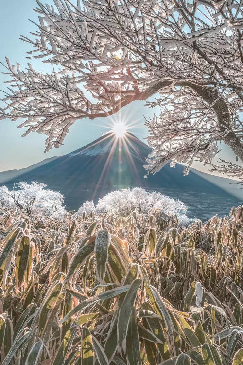 Mount Fuji VIII