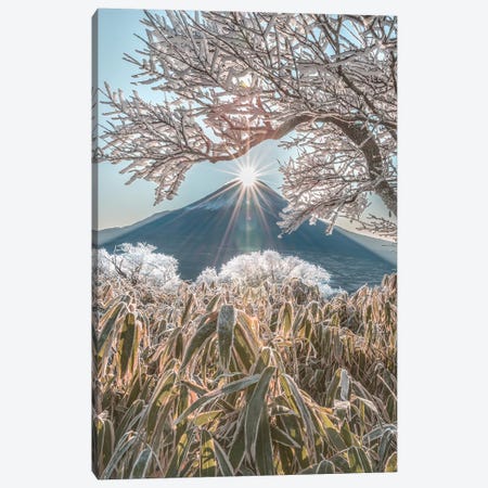 Mount Fuji VIII Canvas Print #DUE40} by Daisuke Uematsu Art Print
