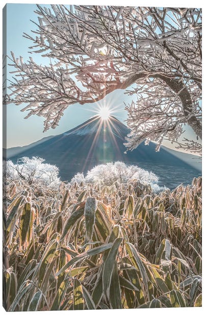 Mount Fuji VIII Canvas Art Print - Daisuke Uematsu 