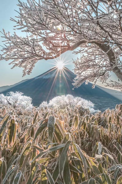 Daisuke Uematsu: Mount Fuji VIII by Daisuke Uematsu
