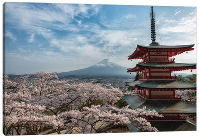 Mount Fuji XIII Canvas Art Print - Volcano Art