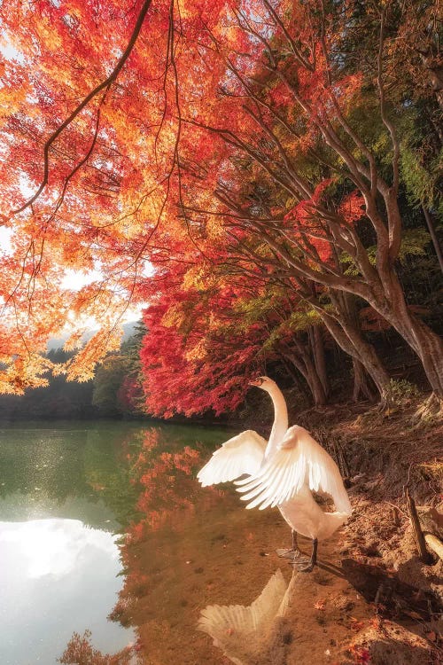 Autumn In Japan IV by Daisuke Uematsu wall art