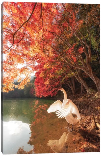 Autumn In Japan IV Canvas Art Print - Daisuke Uematsu 