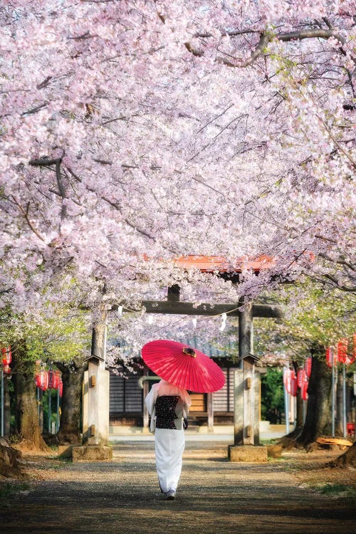 Spring In Japan II