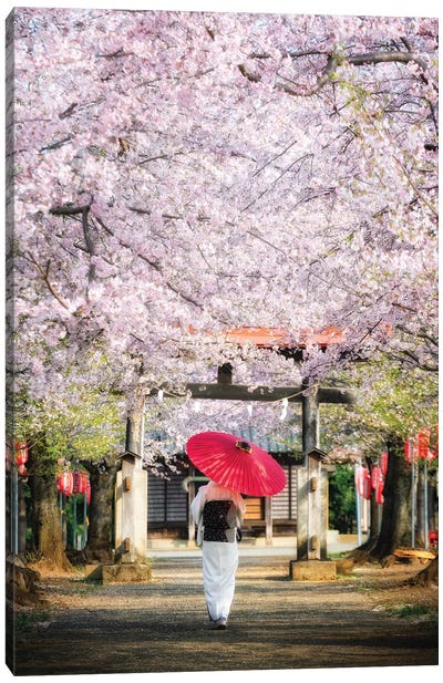 Spring In Japan II Canvas Art Print - Cherry Tree Art