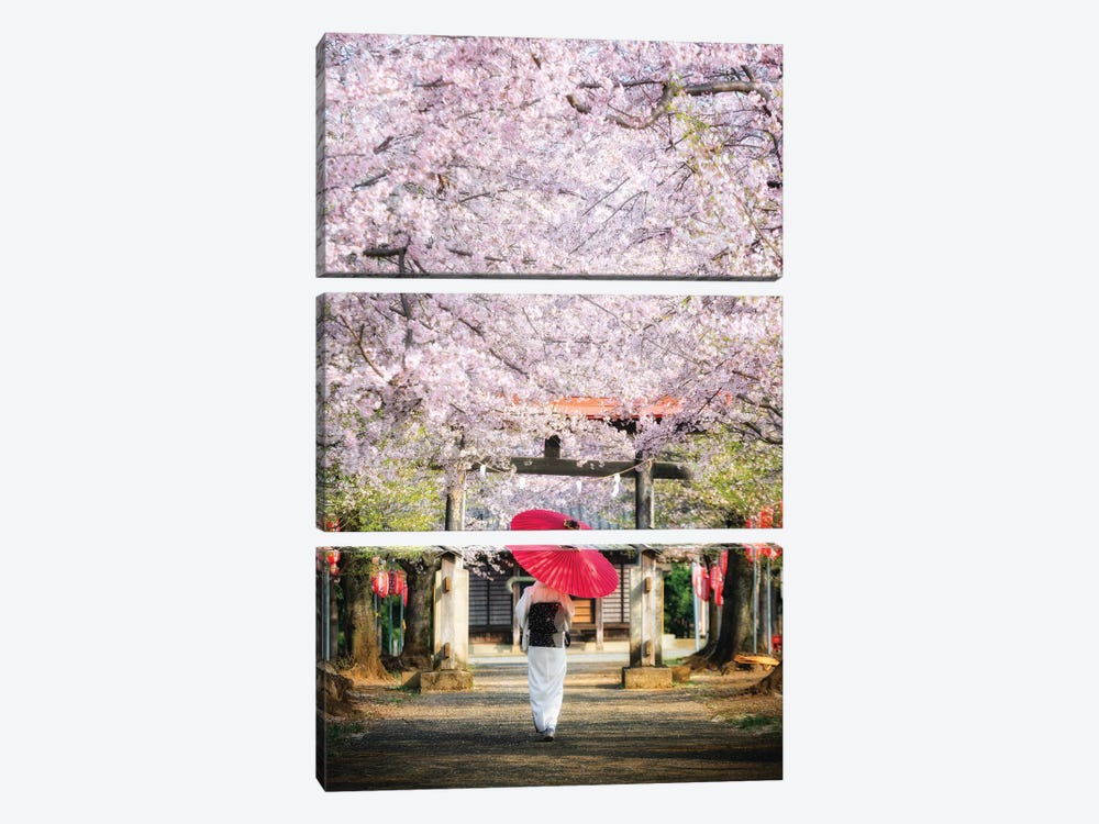 Spring In Japan II by Daisuke Uematsu 3-piece Canvas Art