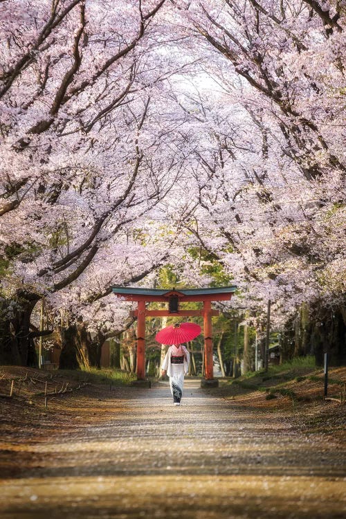 Spring In Japan III by Daisuke Uematsu wall art