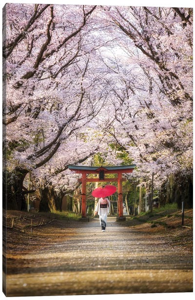 Spring In Japan III Canvas Art Print - Cherry Tree Art
