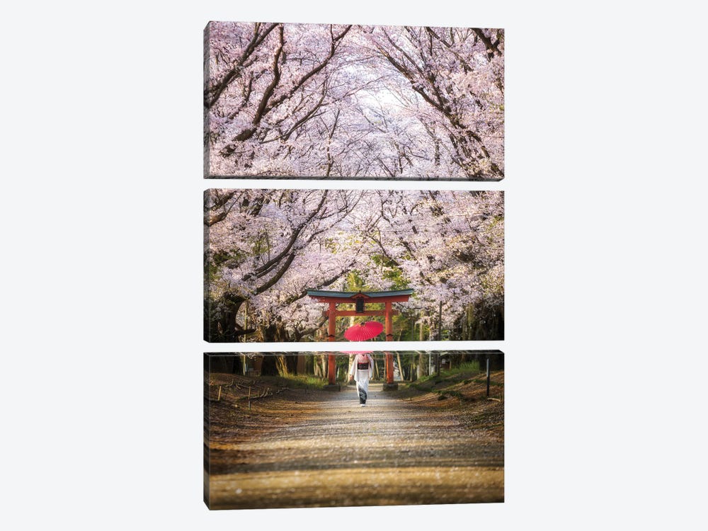 Spring In Japan III by Daisuke Uematsu 3-piece Art Print