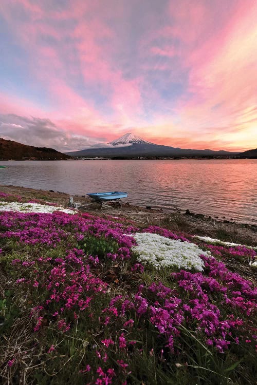 Spring In Japan V