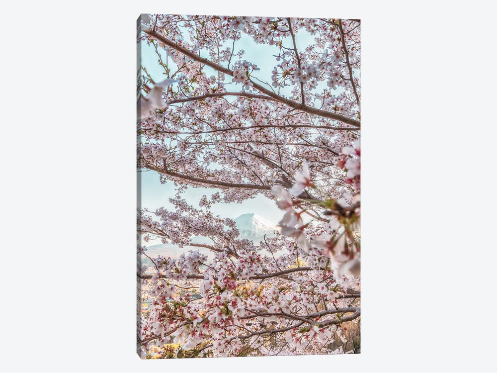 Spring In Japan VII by Daisuke Uematsu 1-piece Canvas Print